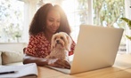 Learn Pet First Aid & CPR Online Course and Animal Care Masterclass