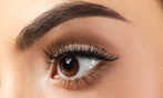 Classic Eyelash Extensions with Optional Maintenance Fill