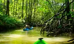 Enjoy 2.5 or 4-Hour Kayak Rentals with Stunning Local Views