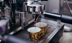Professional Barista & Coffee Brewing or Membership to 2500+ Courses