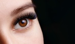 Classic Lash Full Set Of Eyelash Extensions With 2 Week Fill