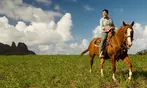 Scenic Horseback Trail Rides – Boundary Ranch Kananaskis Country