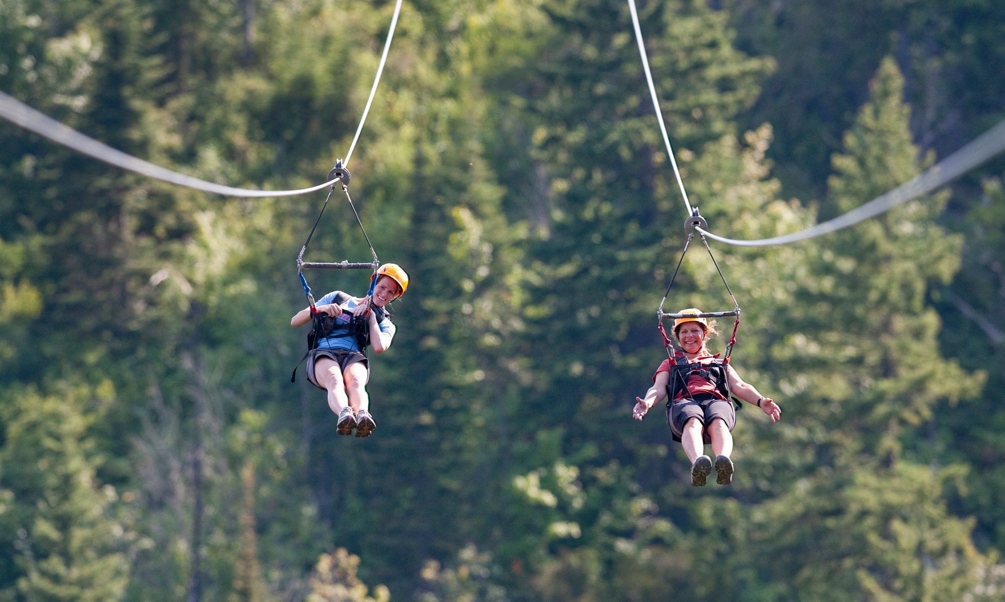 Canopy Tour & Ziplining Adventure: Nashville