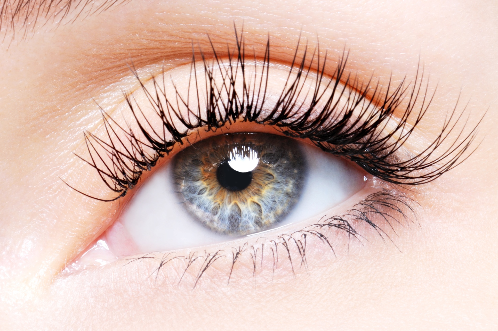 Eyelash Lift and Tint at PariiiSpa (Up to 46% Off). Three Options