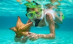 Up to 30% Off on SCUBA & Snorkeling Rental at Honolulu Snorkel Company