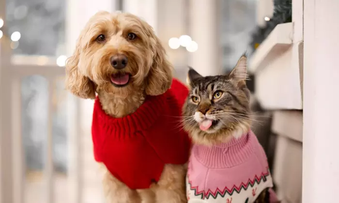 Spend $49, Get a $20 e-gift card off your first Chewy Purchase with code