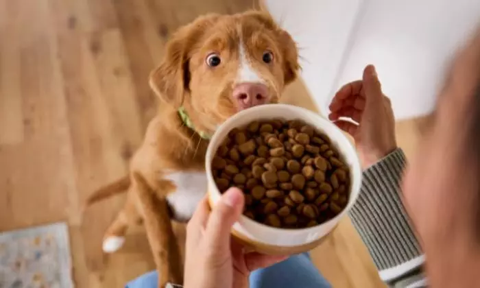 Spend $49, Get a $20 e-gift card off when shopping again with Chewy with promo code