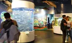 Aquarium of the Bay Ticket Deals & Discounts