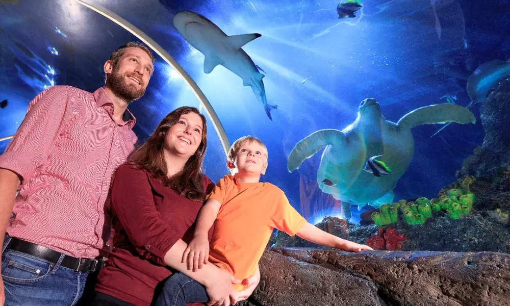 Standard-Ticket SEA LIFE Konstanz