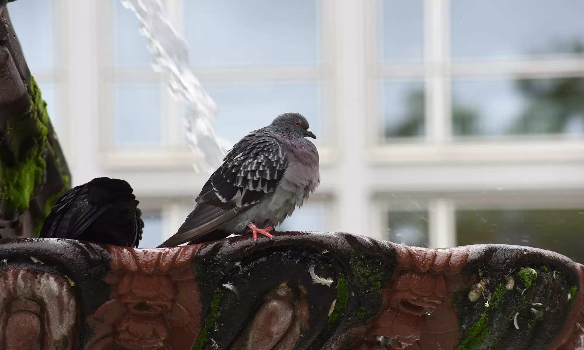 Grundlagen-Fotokurs für Einsteiger in kleiner Gruppe