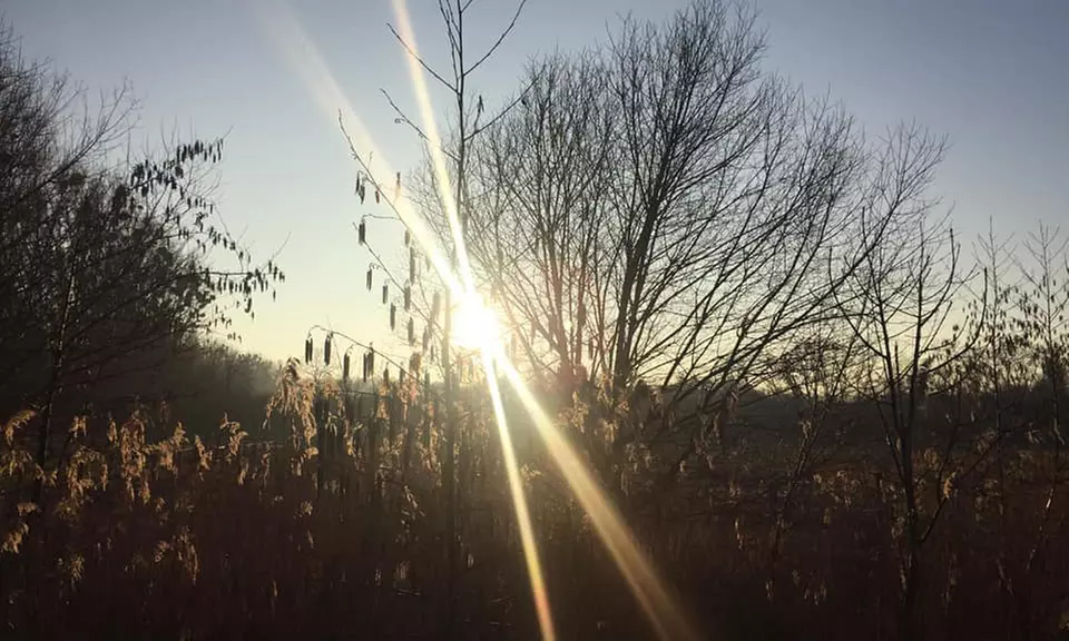 Waldbaden Gruppenkurs