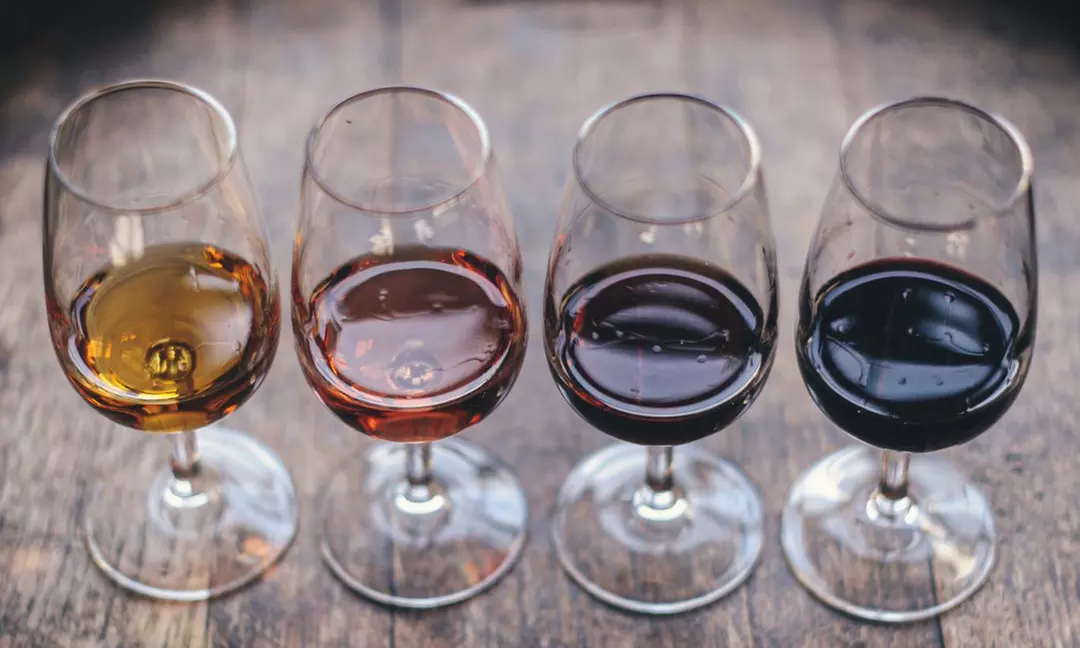 Visita guiada y cata de vinos en Bodegas Jesús Díaz e Hijos