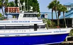 Dolphin Sightseeing Adventure Cruise