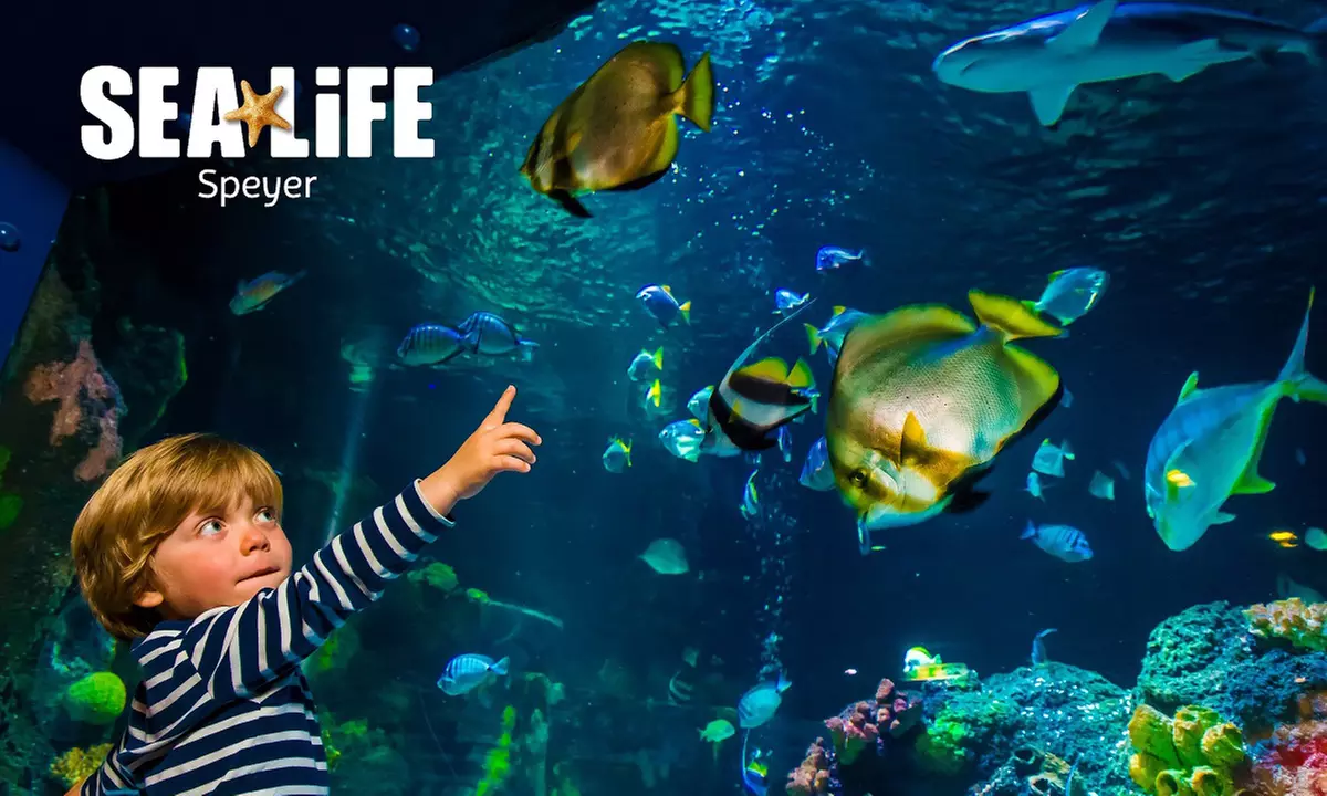 Ticket für 1 Kind oder 1 Erwachsenen für das „SEA LIFE Speyer“