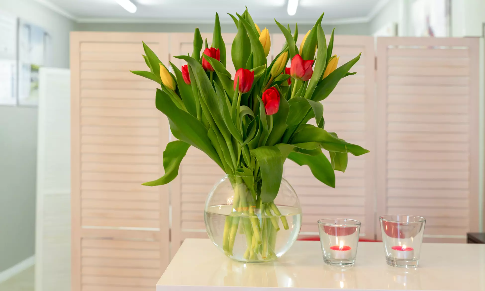 3 IPL/SHR-Laser-Haarentfernungen an einer kleinen oder großen Zone