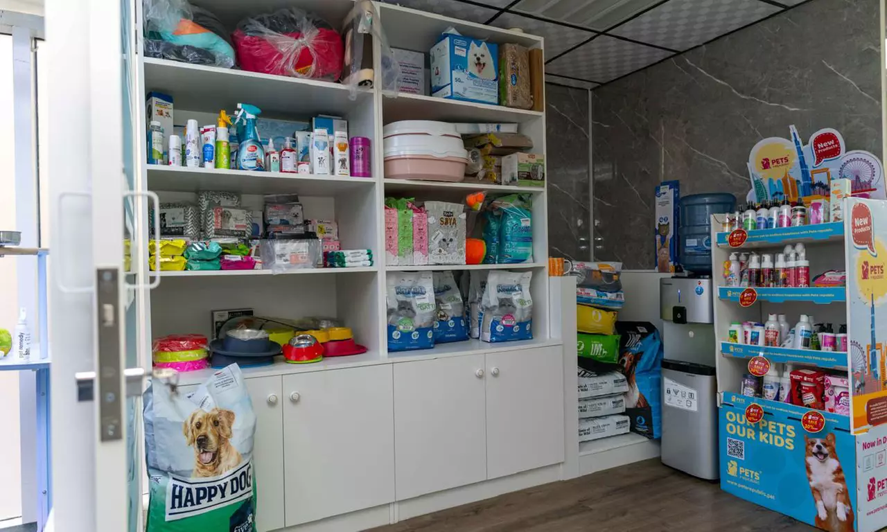 Pamper Cat or Small, Medium, Large or Extra Size Dog Full Pet Grooming