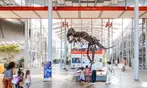 California Academy of Sciences: All Access Ticket Deals!