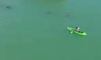 Glass Bottom Kayak LED Night Tour Deal - 75-Minute Fish Feeding Discount