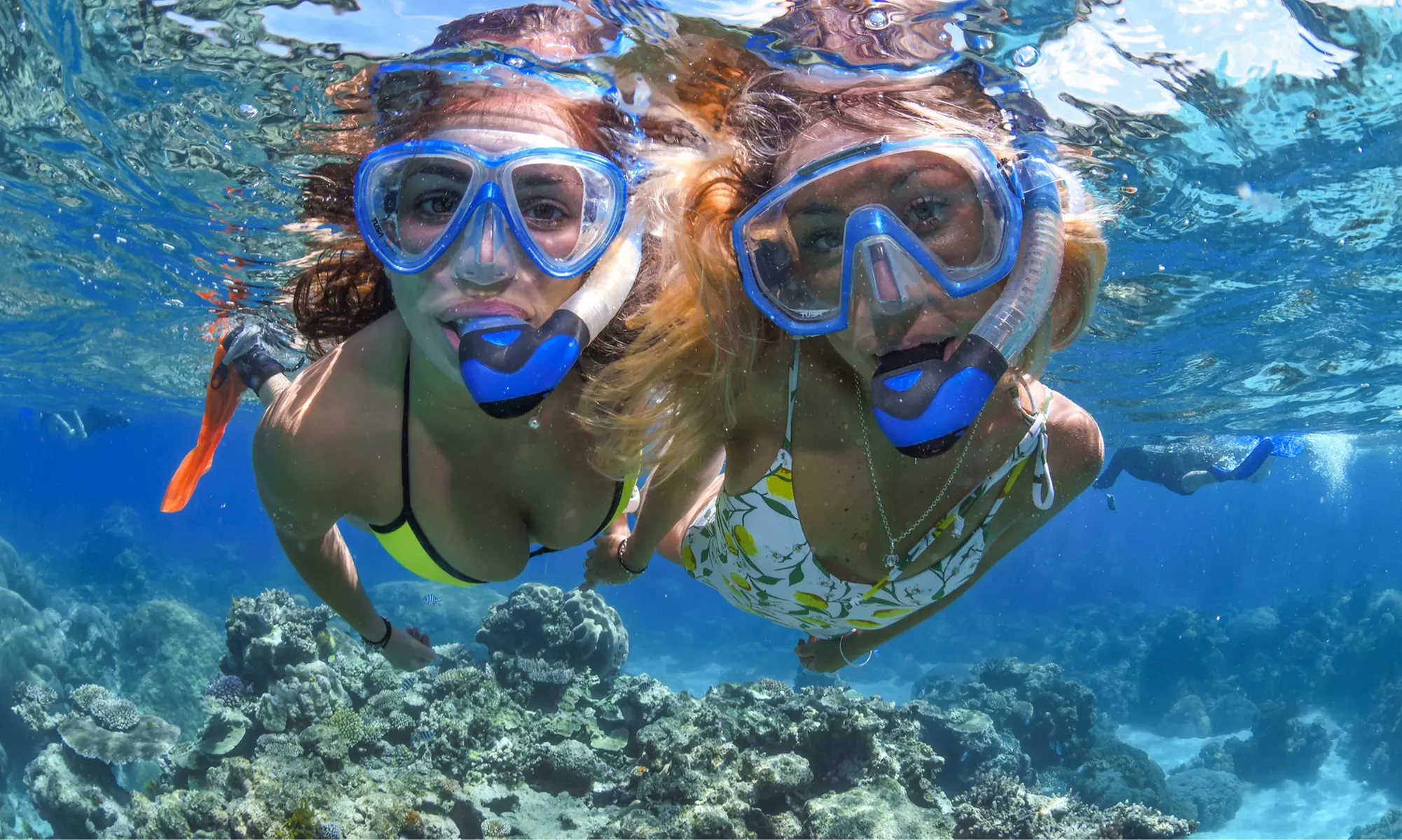 Cairns: Full Day Reef Cruise