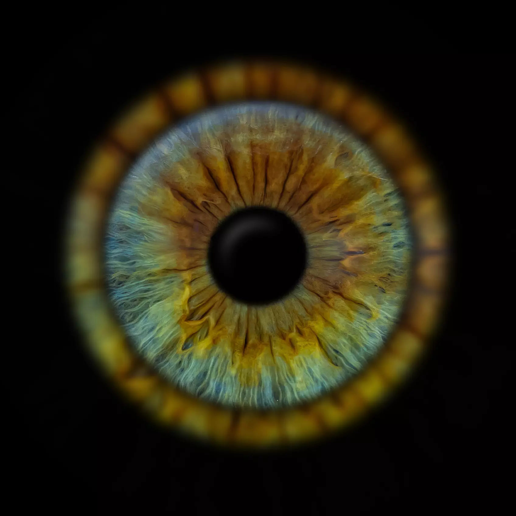 Odkryj magię spojrzenia: zdjęcia Twojej tęczówki w artystycznej formie