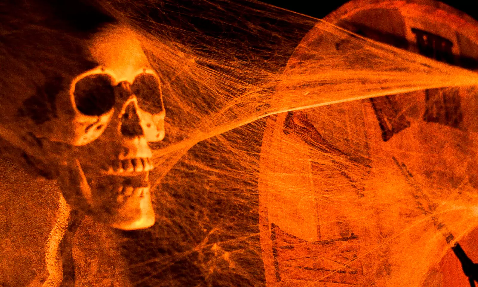 Show Off Your Sleuthing Skills at Abu Dhabi's 1st Horror Escape Room!