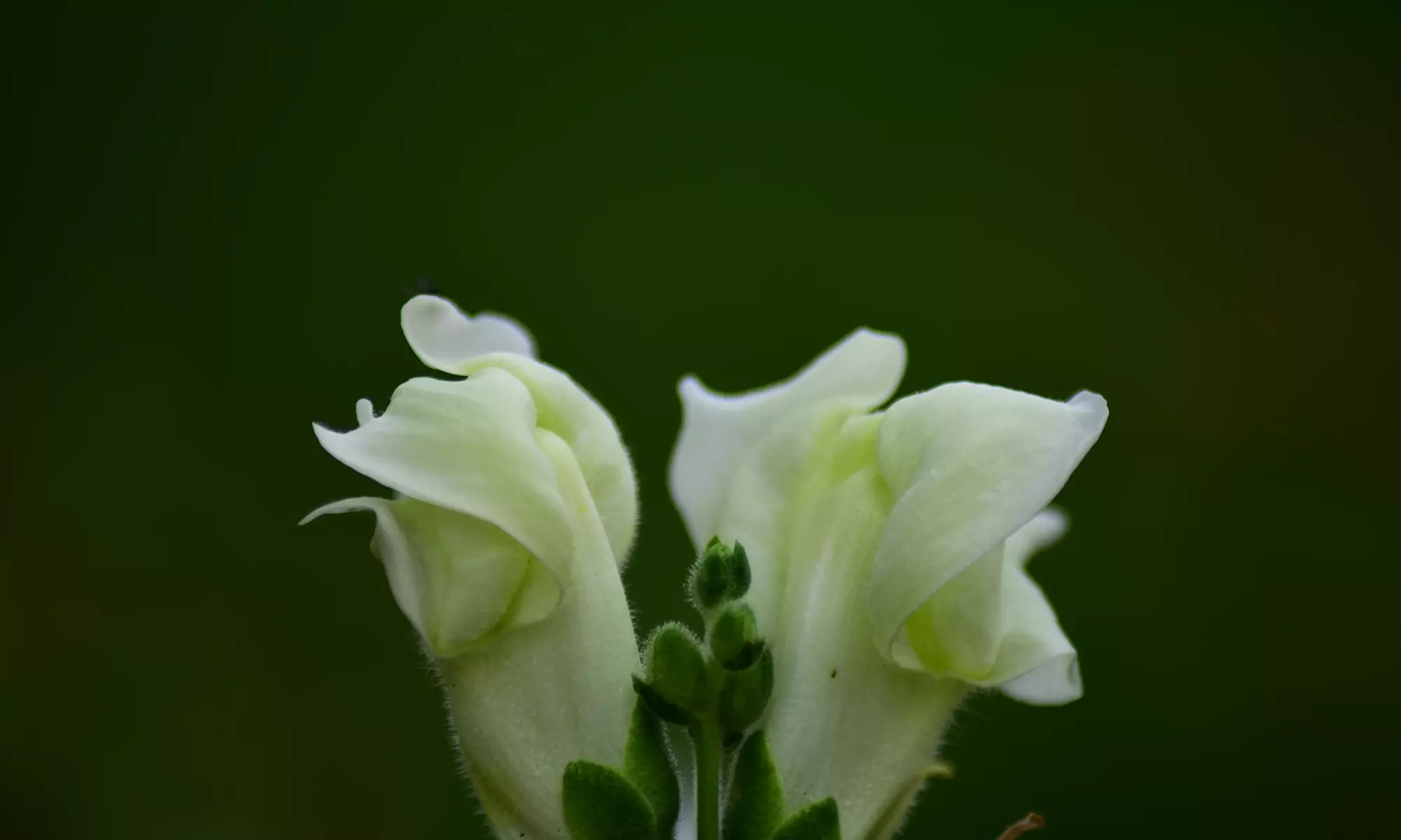 Grundlagen-Fotokurs für Einsteiger in kleiner Gruppe