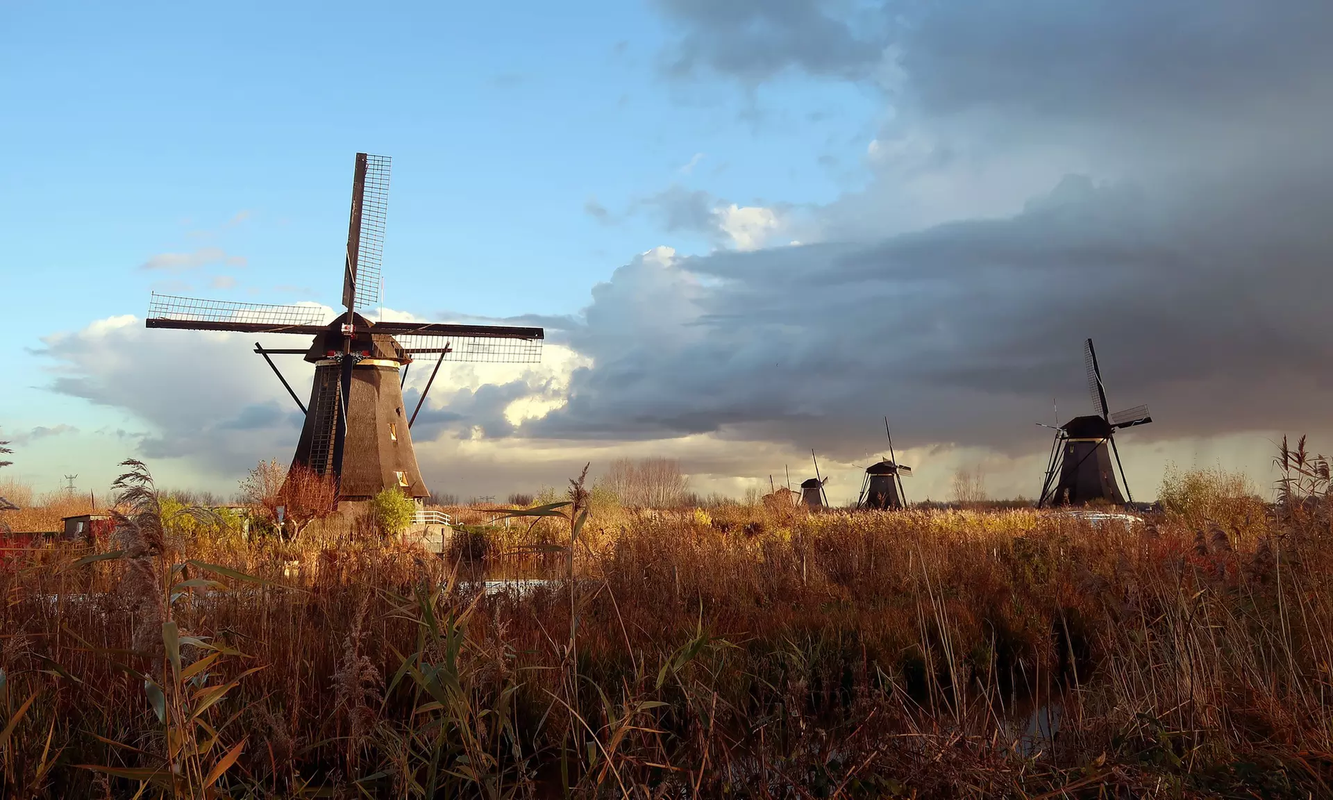 Vor den Toren Amsterdams mit Frühstück & Pralinen