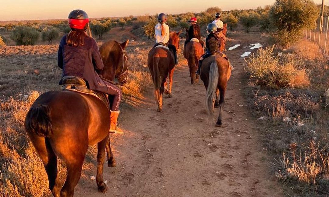 Paseo a caballo para 2 o 4 personas en Hípica Los Jarales
