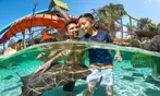 END OF SUMMER SALE! SeaWorld San Antonio Ticket Deals - Up to 57% Off
