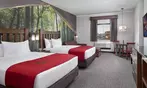 Great Wolf Lodge Atlanta Indoor Water Park Resort