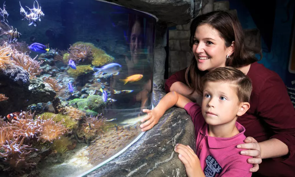 Eintrittskarte für SEA LIFE Timmendorfer Strand