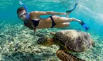 Up to 21% Off Olowalu Beach Kayak and Snorkel Turtle Reef Tour
