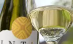 Splash Wines: Chardonnay Wine Collection - 6, 12, or 15 Bottles of Premium White Wine