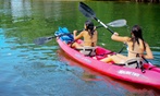 Enjoy a 2 Hour Kayak Adventure for One, Two, or Four