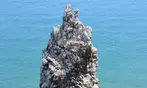 Sunset or Howth Cliffs Cruise at Howth Cliff Cruises Island Ferries