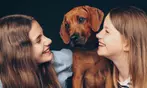 90 Min. Familien Fotoshooting inkl. 2-5 Bildern + Geschenk