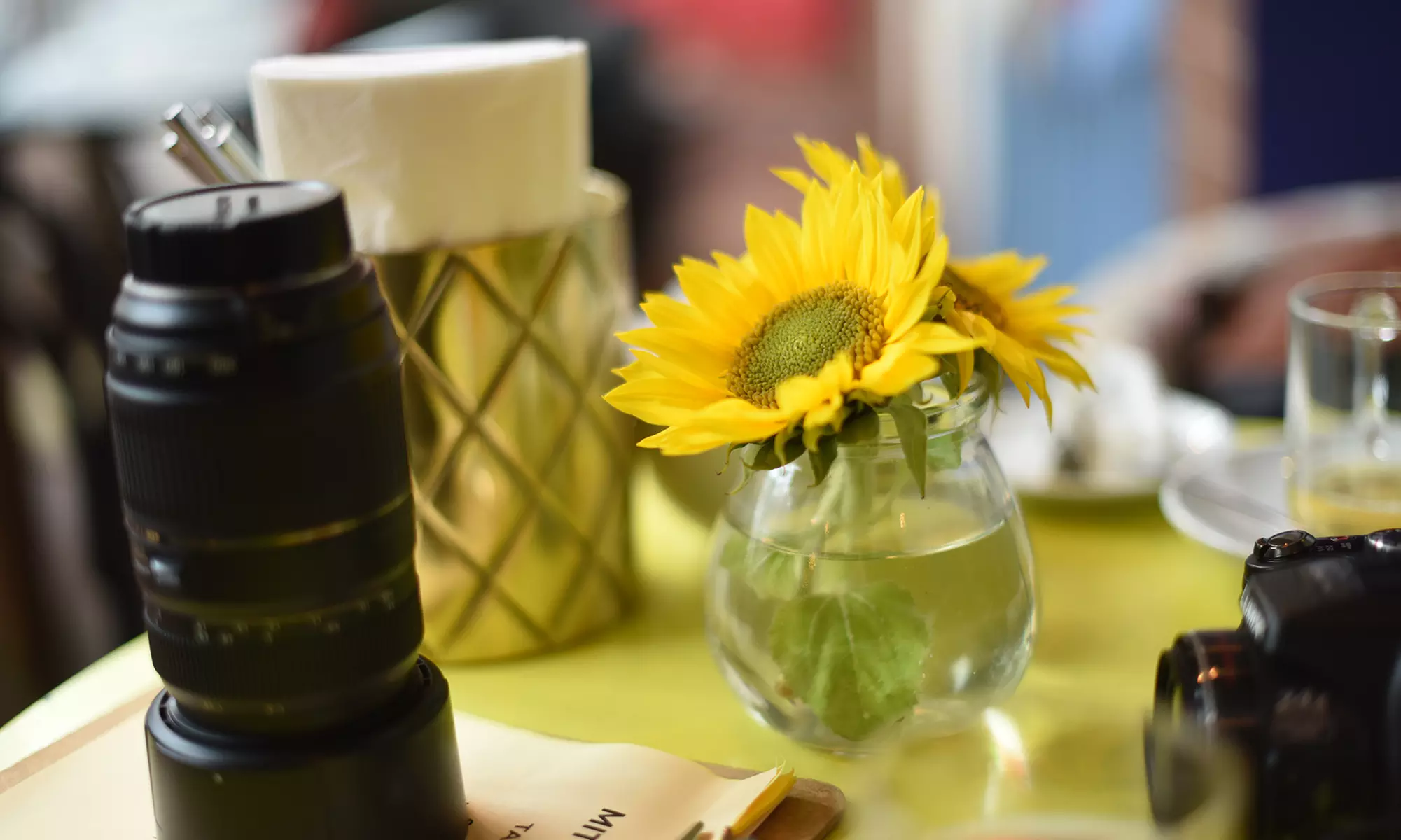 Grundlagen-Fotokurs für Einsteiger in kleiner Gruppe