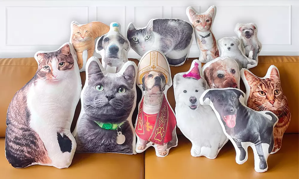 One Custom 3D Pet Pillow from Justyling (70% Off) - Primary Image