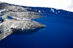 Up to 20% Off on Shark Diving at Hawaii Adventure Diving