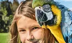Tageskarte Weltvogelpark Walsrode