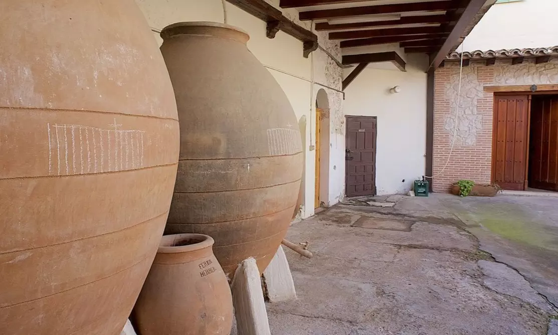 Conviértete en un profesional: visita a bodega con degustación