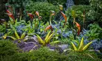 Space Needle & Chihuly Garden Discount Tickets