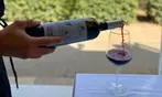 Cata de 4 vinos con tabla de quesos frente al mar para 2 o 4 personas