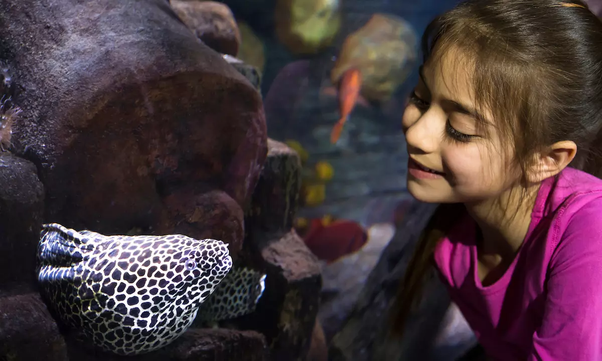 Ticket für 1 Kind oder 1 Erwachsenen für das „SEA LIFE Speyer“