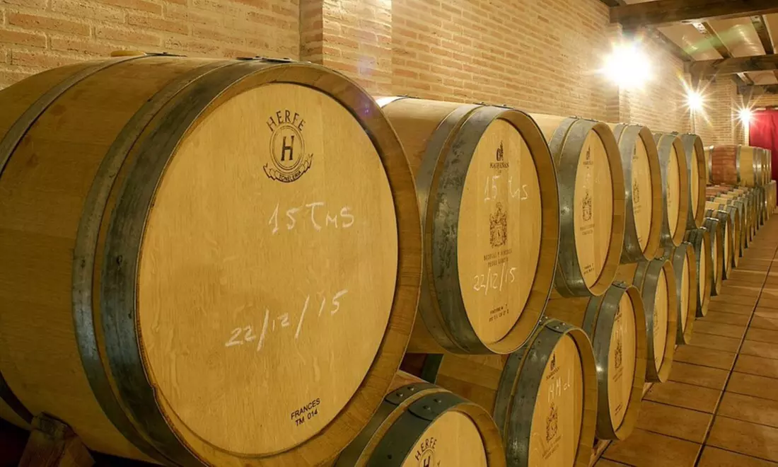 Conviértete en un profesional: visita a bodega con degustación