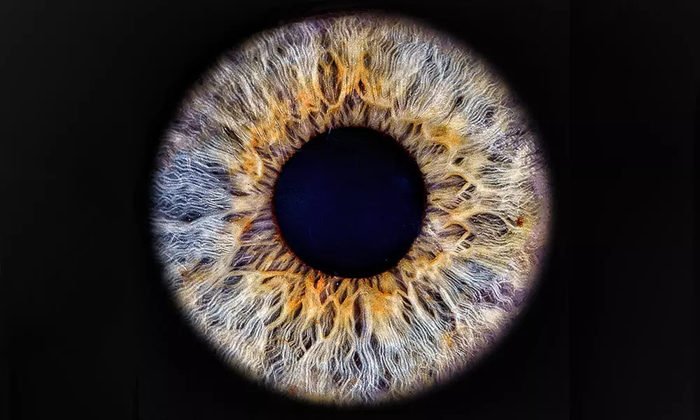 IRIS-Fotoshooting inkl. Datei + Geschenk bei PicturePeople