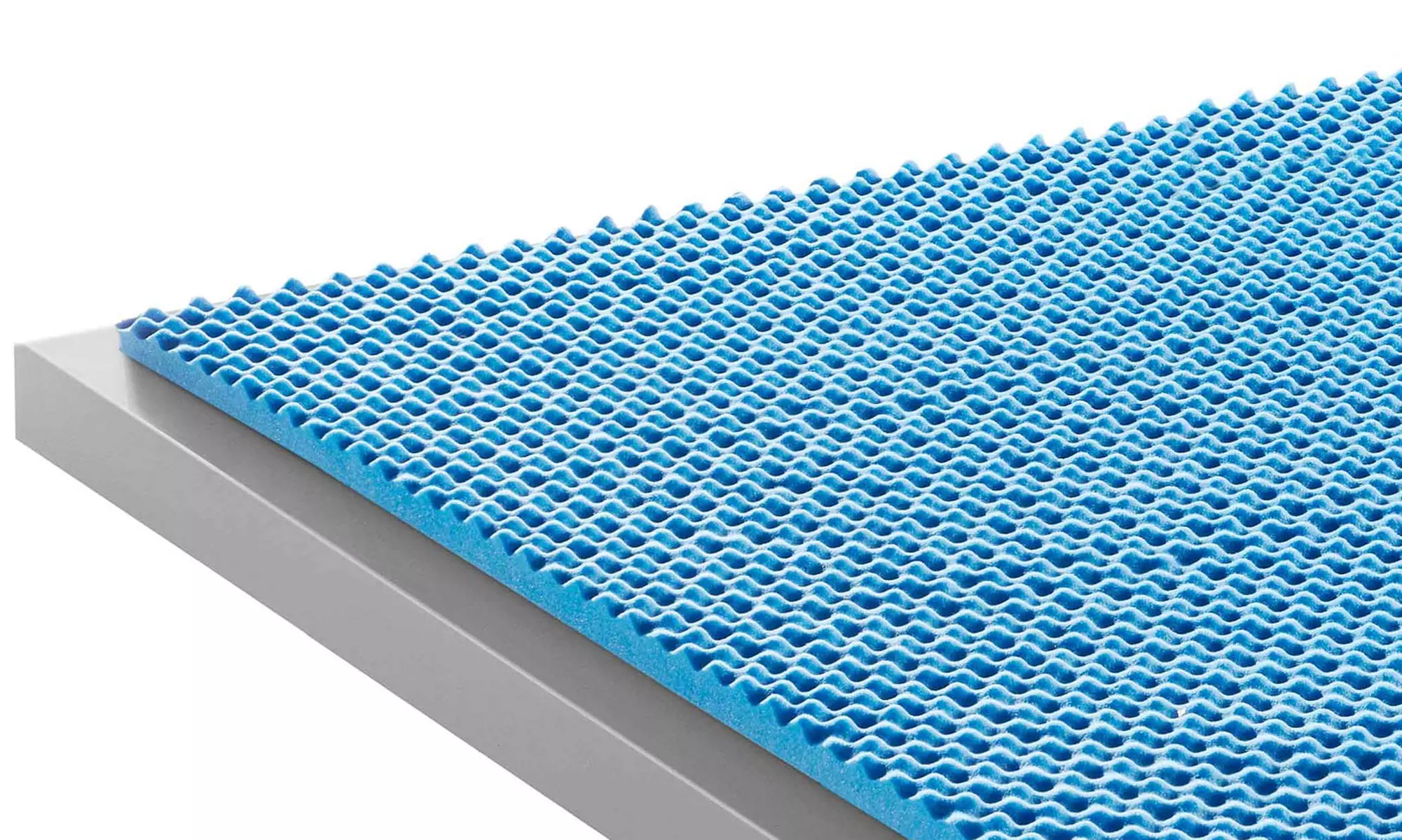 Topper in memory Bio Med 1.1. Mentor