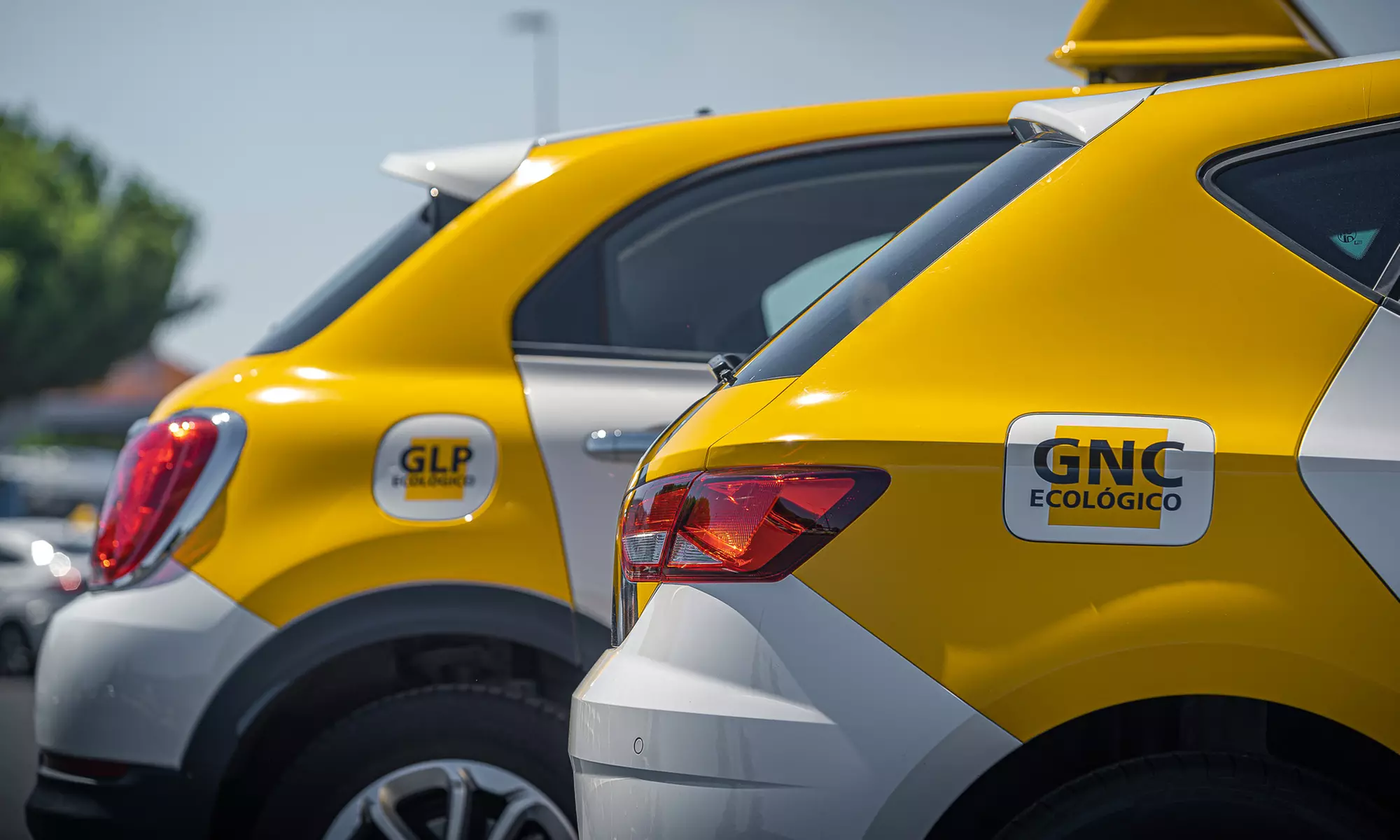 Matrícula, Clases y Prácticas: El Camino Fácil Para Tu Carnet