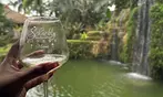 Schnebly Redland's Wine Tasting & Tour Deals for Two or Four