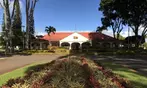 Oahu 16-Location Tour Deal with Snorkeling, Guide, Snacks & Beverages